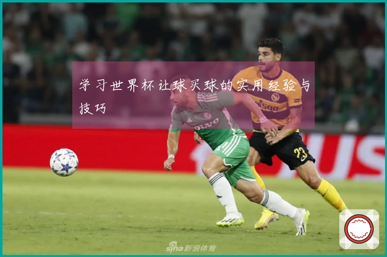 学习世界杯让球买球的实用经验与技巧